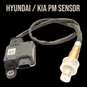 PM Sensor (Hyundai/ Kia)